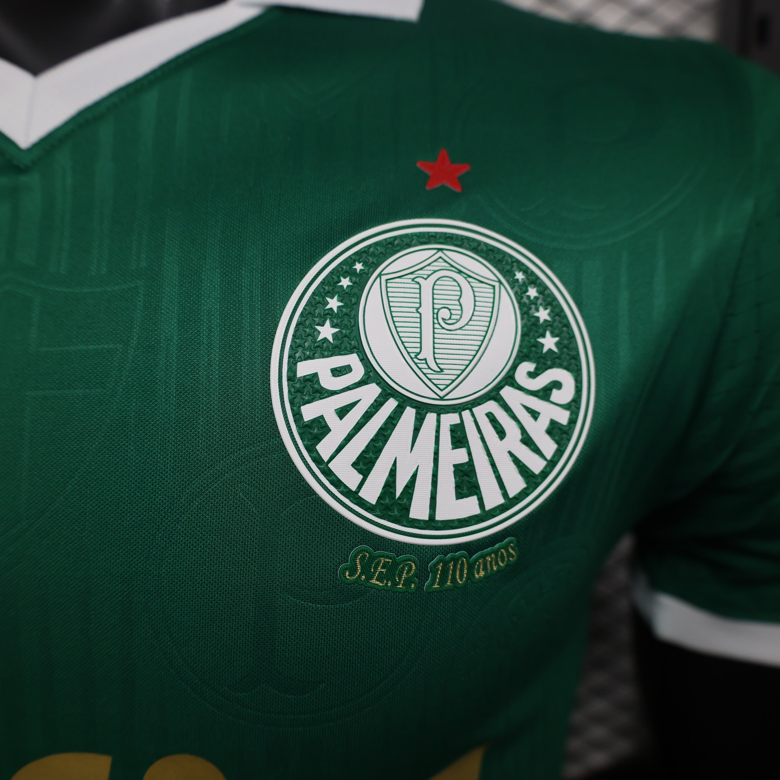 Camisa Palmeiras I 24/25 Verde - Masculino Jogador