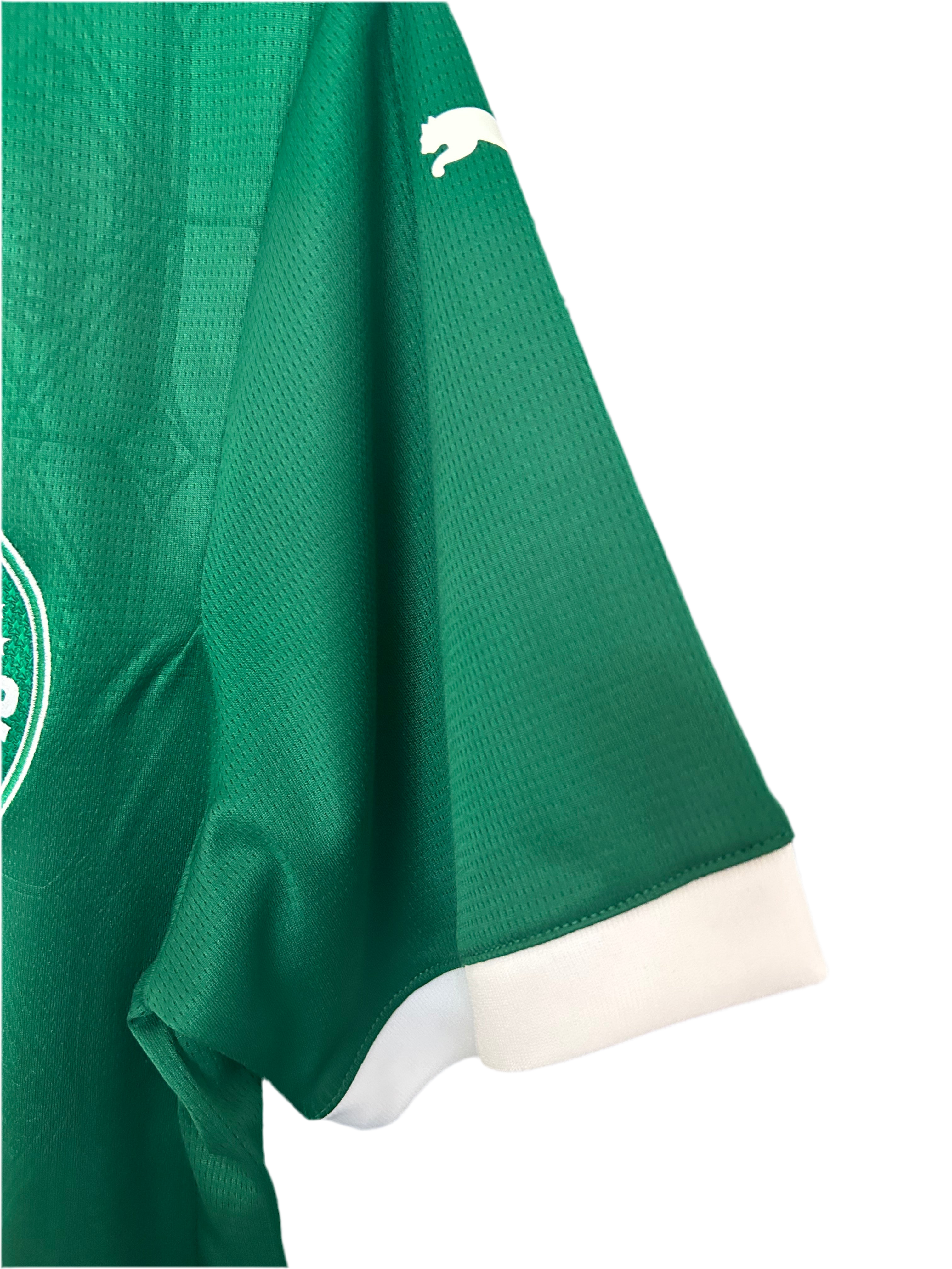 Camisa Palmeiras 25/26 Home