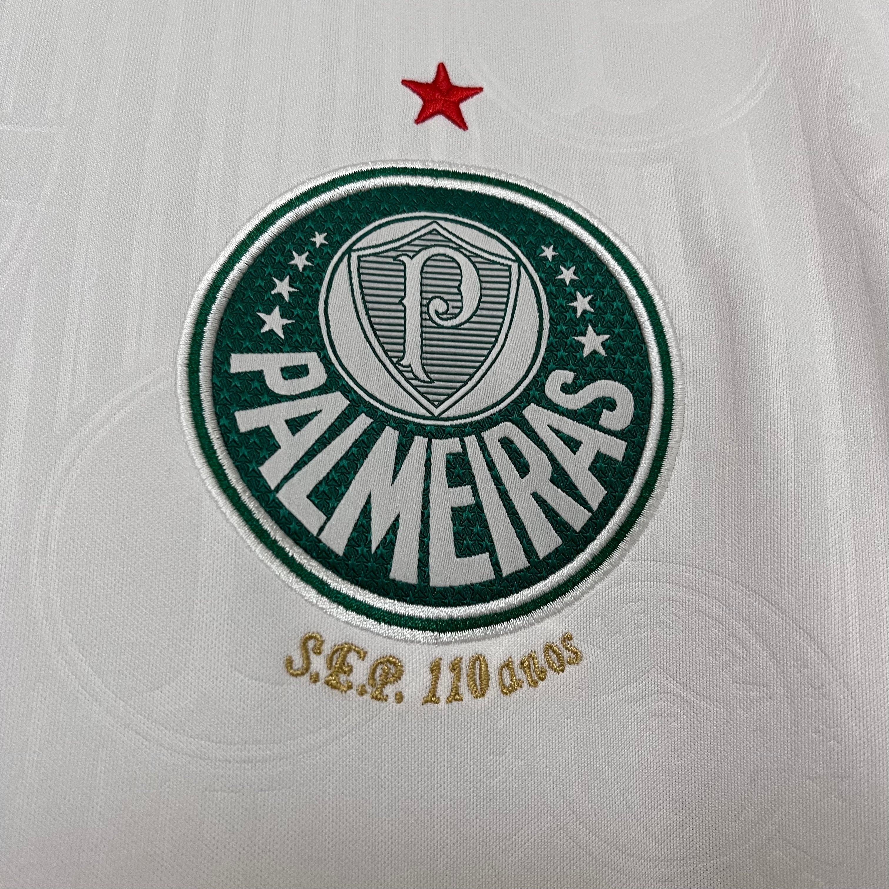 Camisa Palmeiras Reserva 24/25