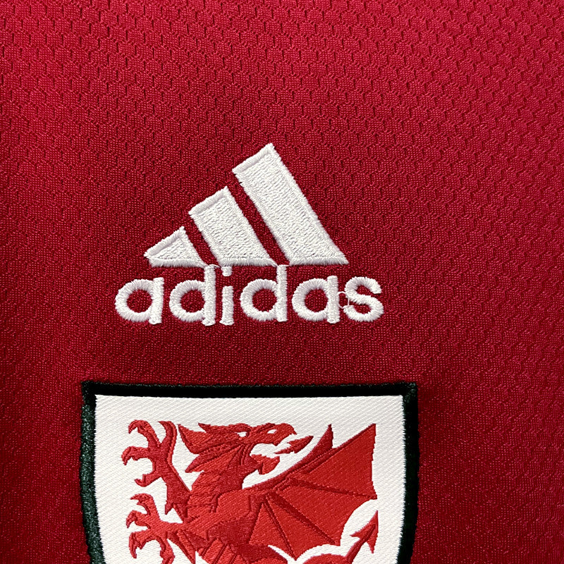 Camisa Seleção País de Gales I 2022 Vermelho