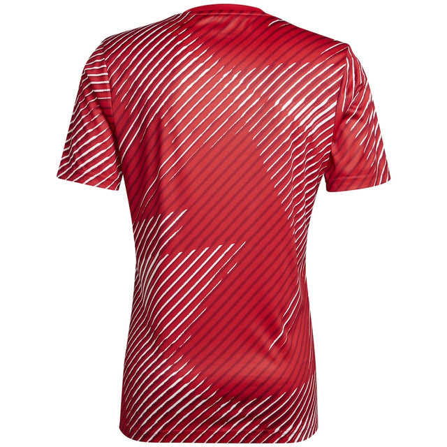 Camisa Pré-jogo Seleção Japão 2022 Vermelho