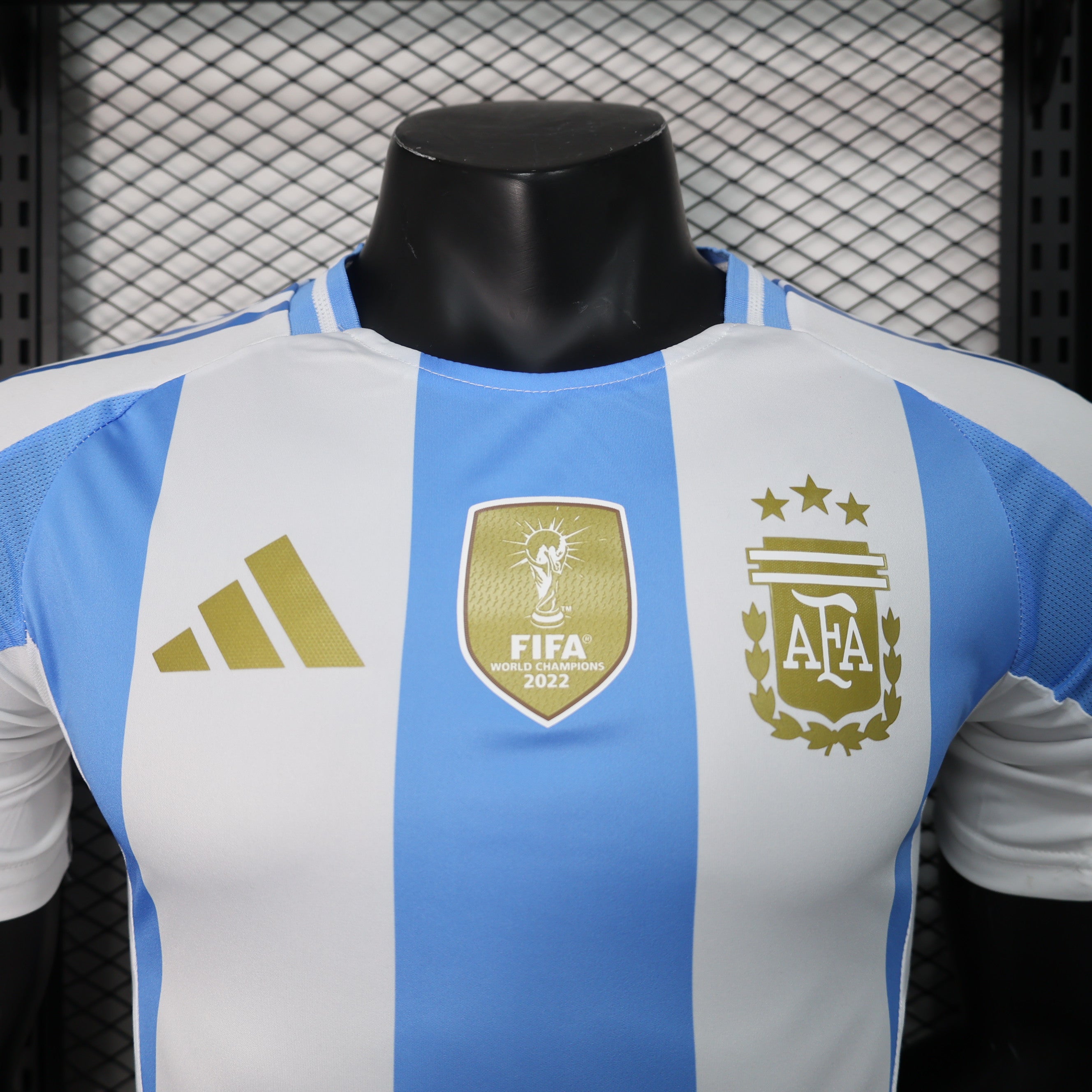 Camisa Argentina I 2024/25 - Masculino Jogador