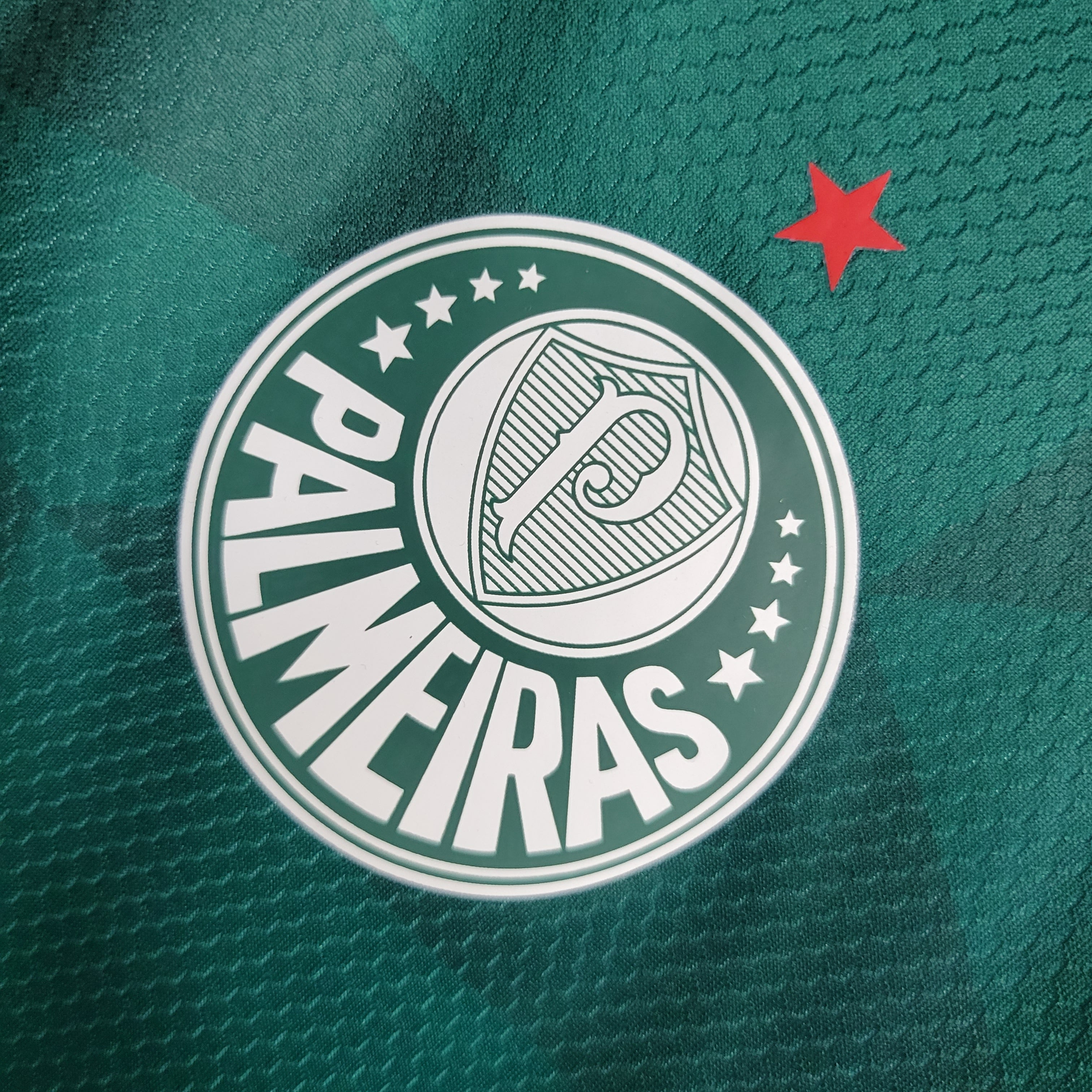 Camisa Feminina Palmeiras I 23/24 Verde