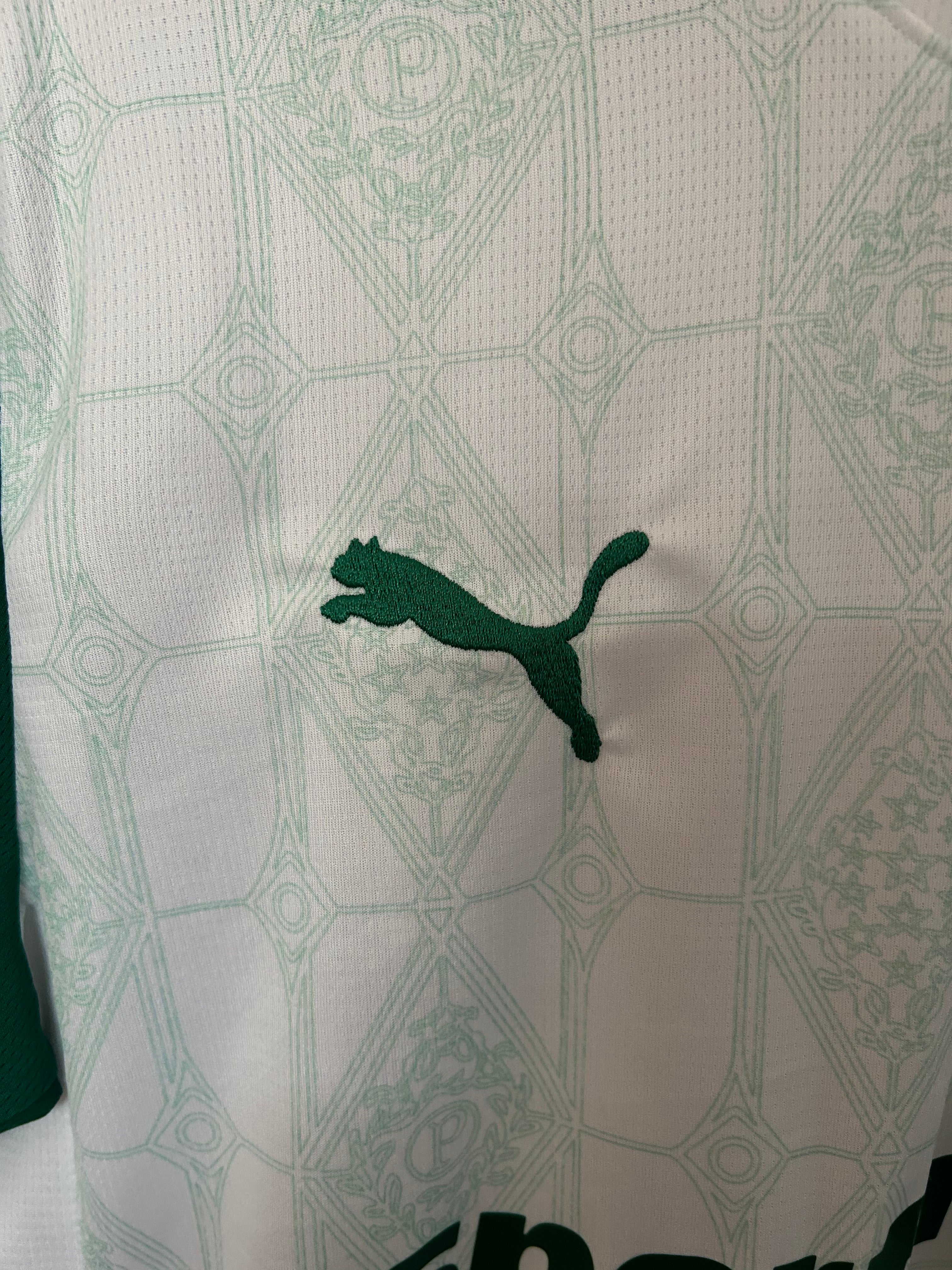 Camisa Palmeiras 25/26 Away