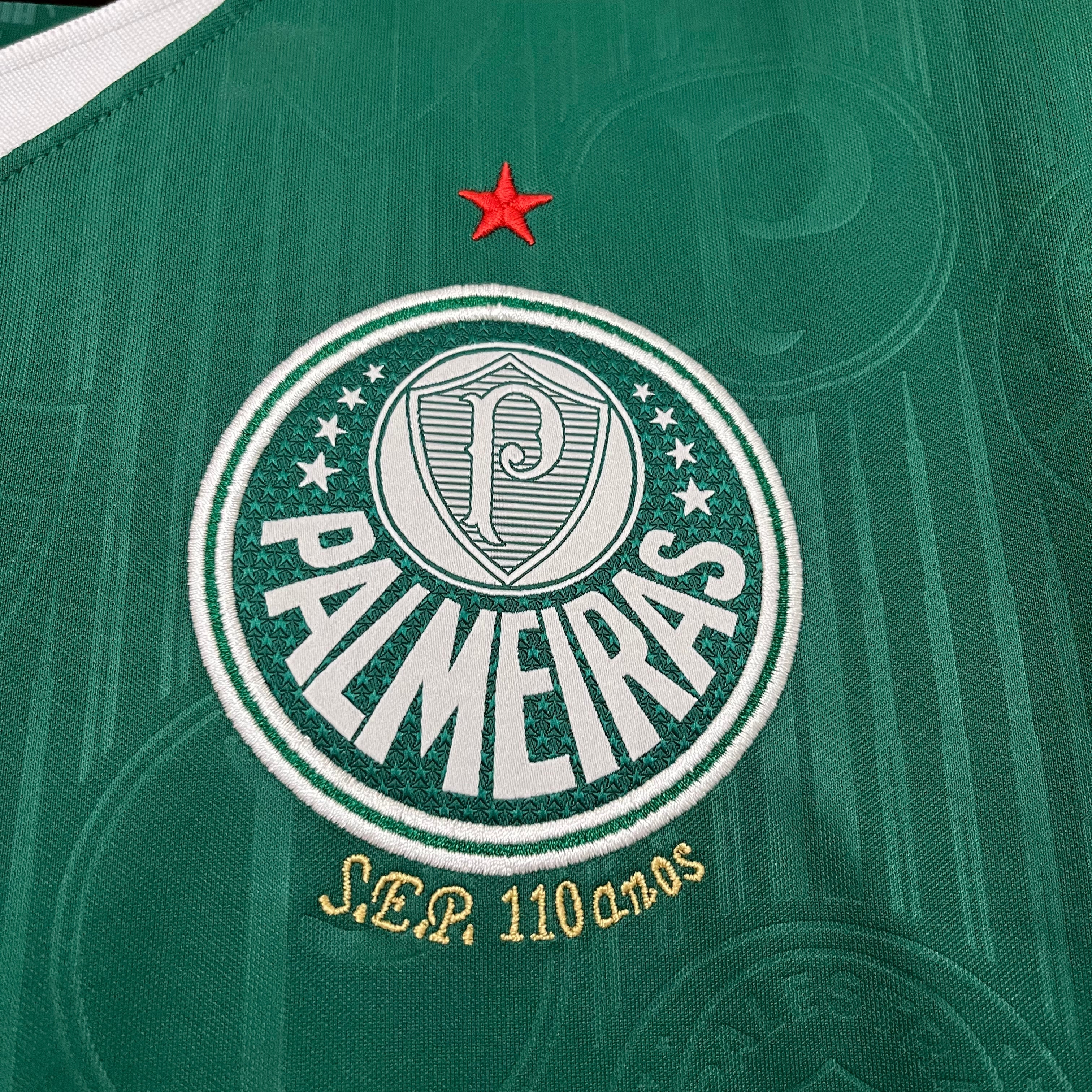 Camisa Palmeiras Titular 24/25