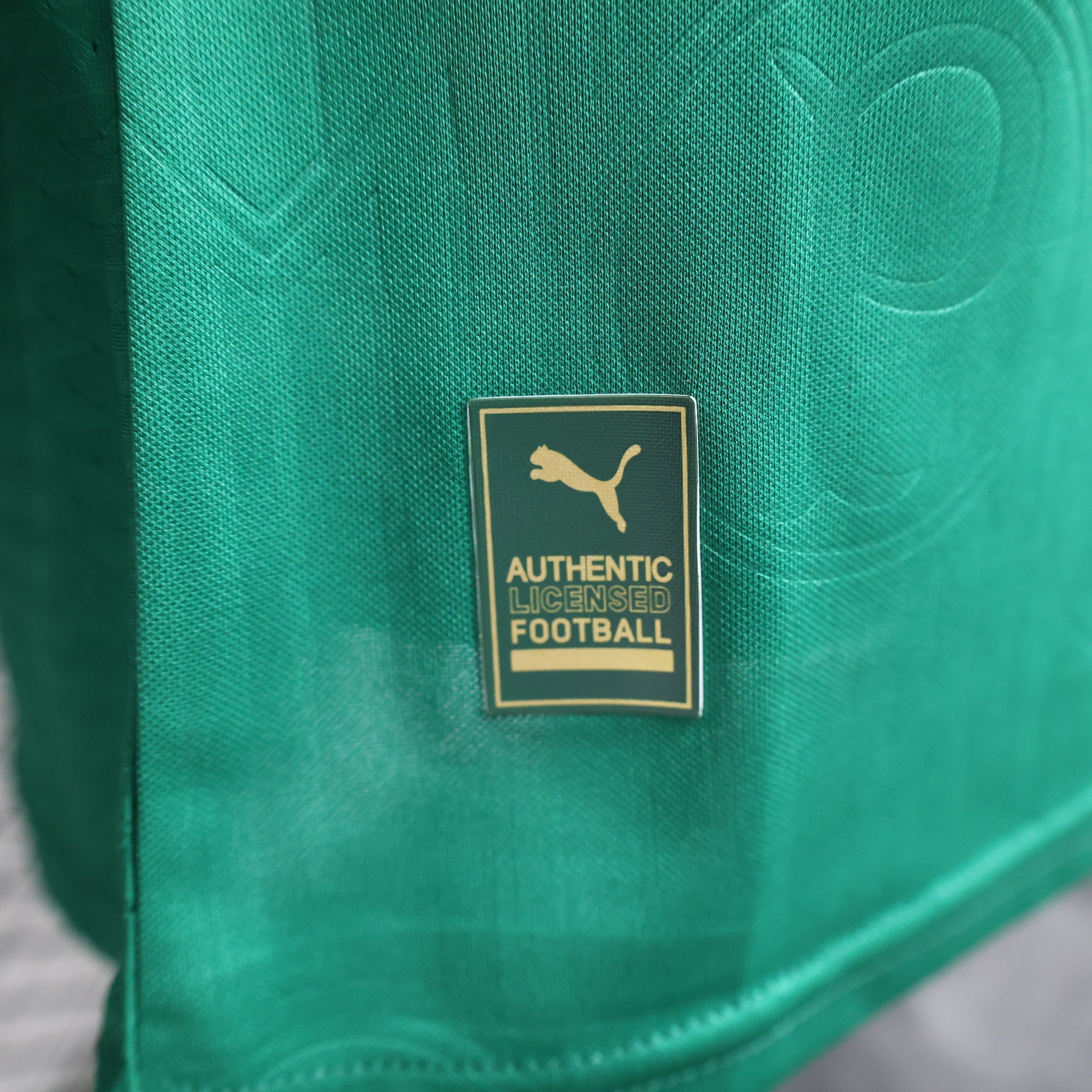 Camisa Palmeiras I 24/25 Verde - Masculino Jogador