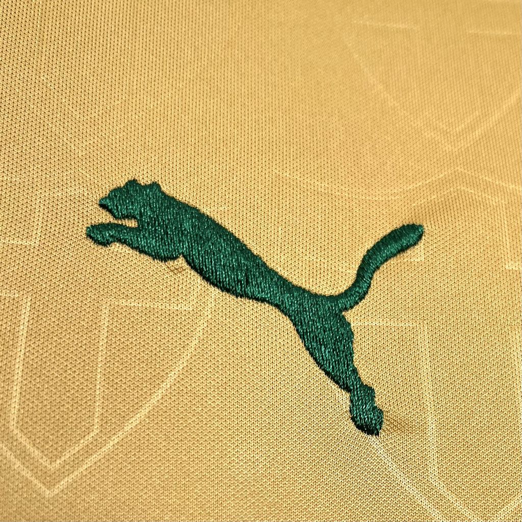 Camisa Palmeiras III 24/25