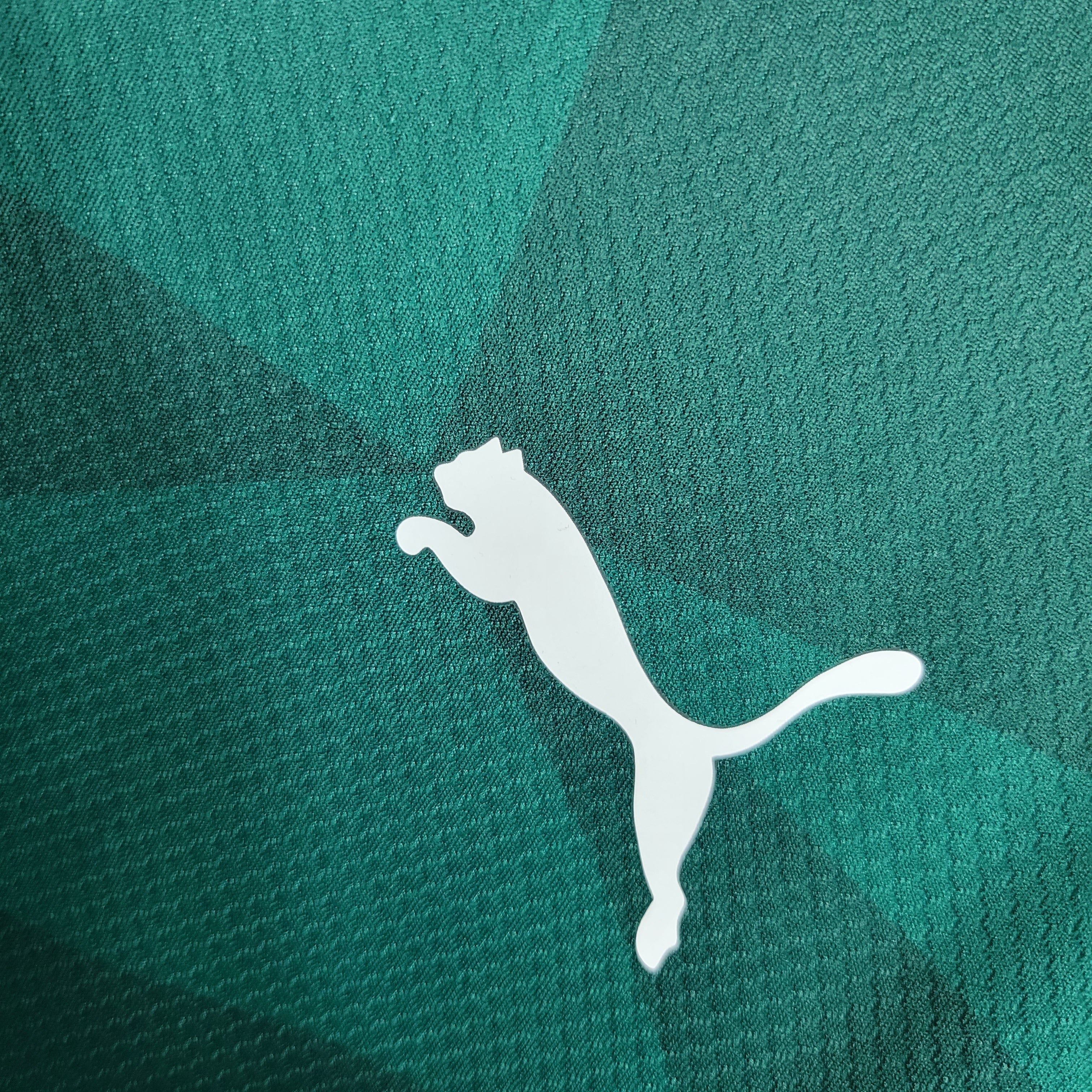 Camisa Palmeiras I 23/24 Verde
