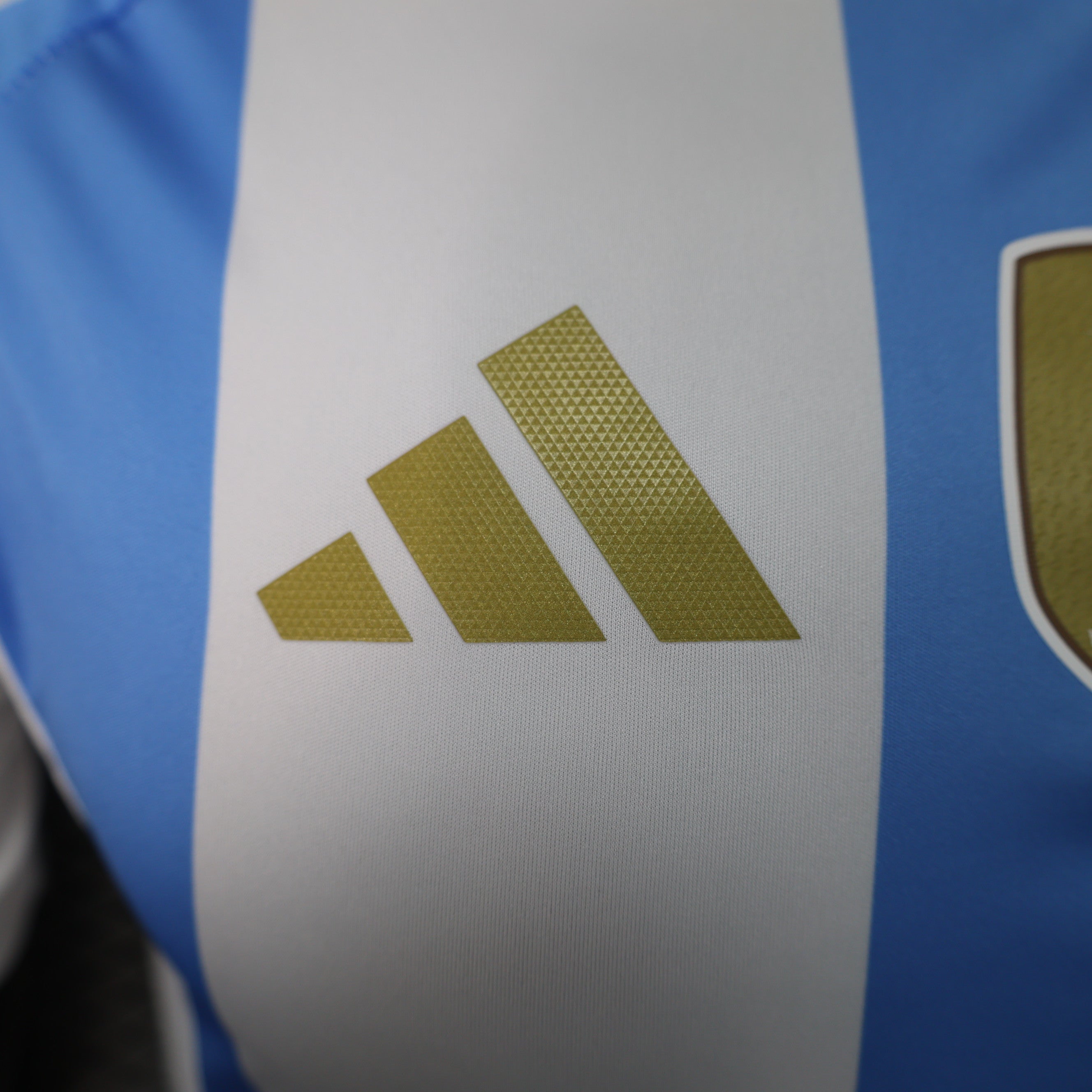 Camisa Argentina I 2024/25 - Masculino Jogador