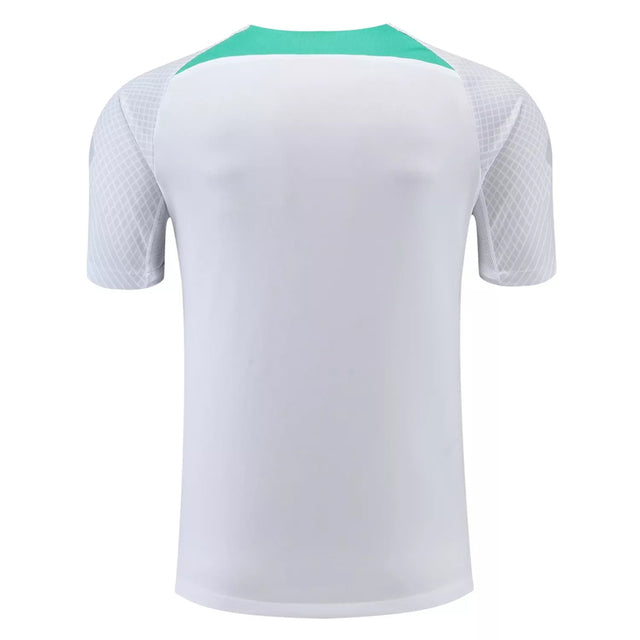 Camisa de Treino Inter de Milão 22/23 Cinza
