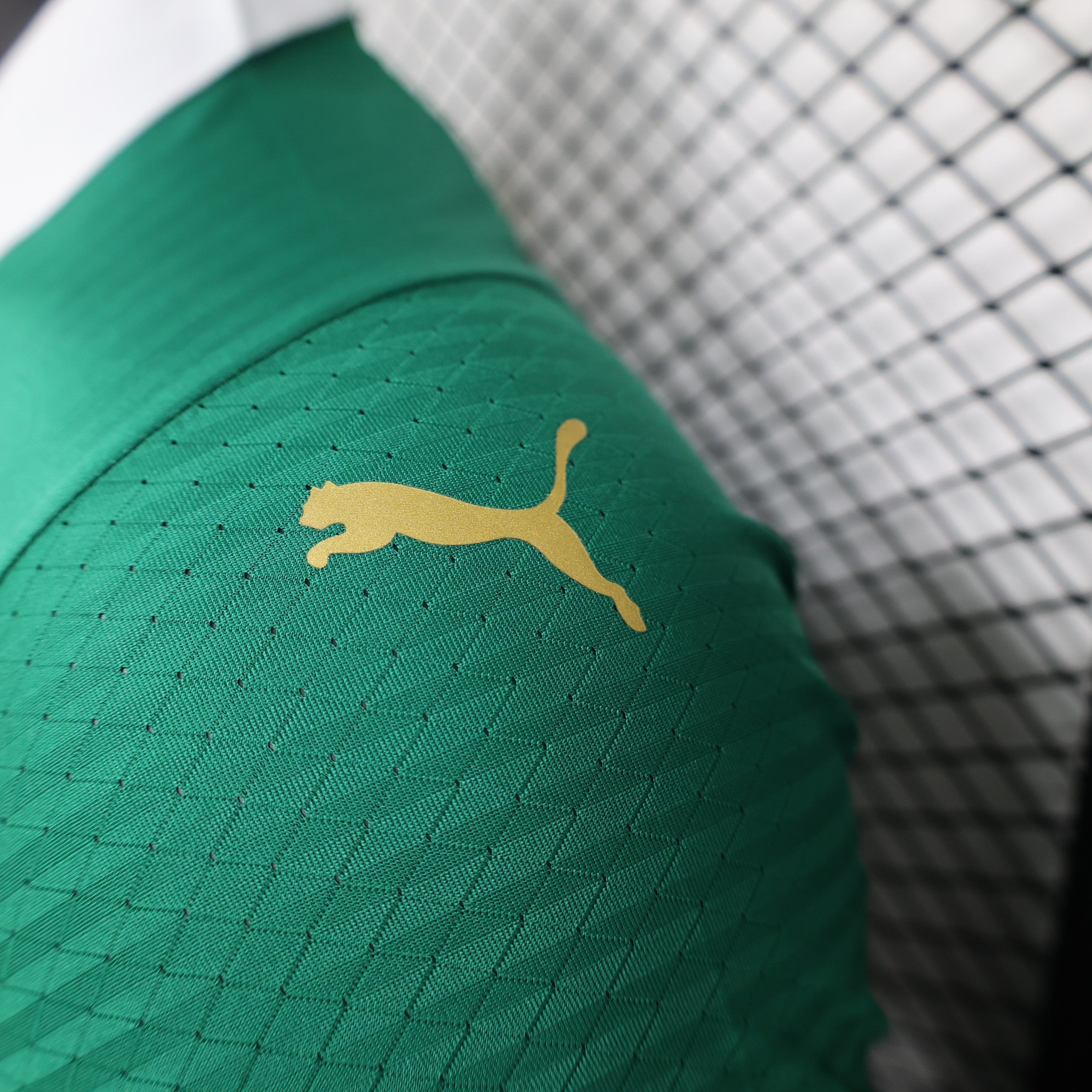 Camisa Palmeiras I 24/25 Verde - Masculino Jogador