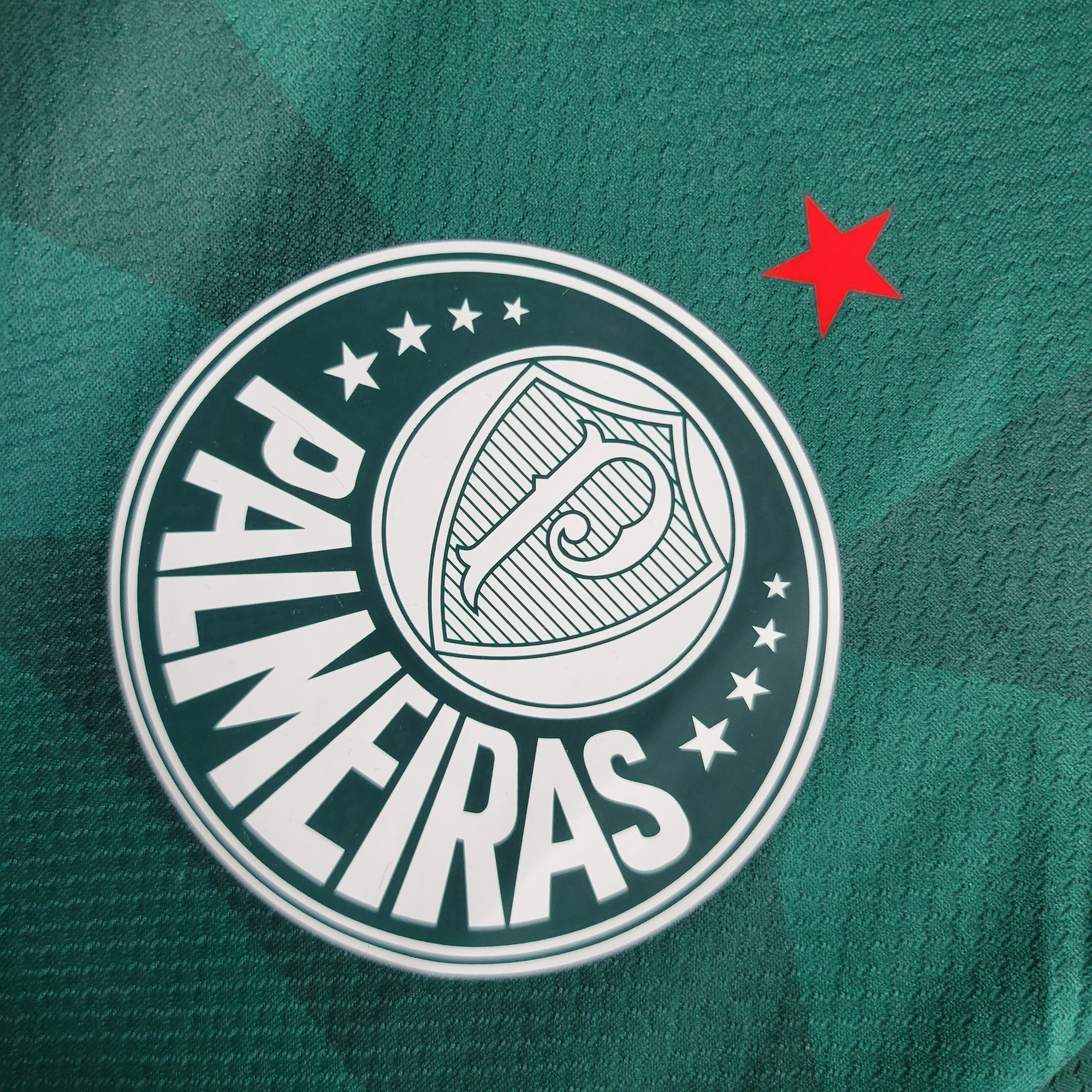Camisa Palmeiras I 23/24 Verde