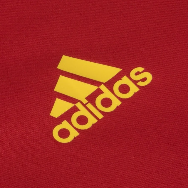 Camisa de Treino Flamengo 22/23 Vermelho